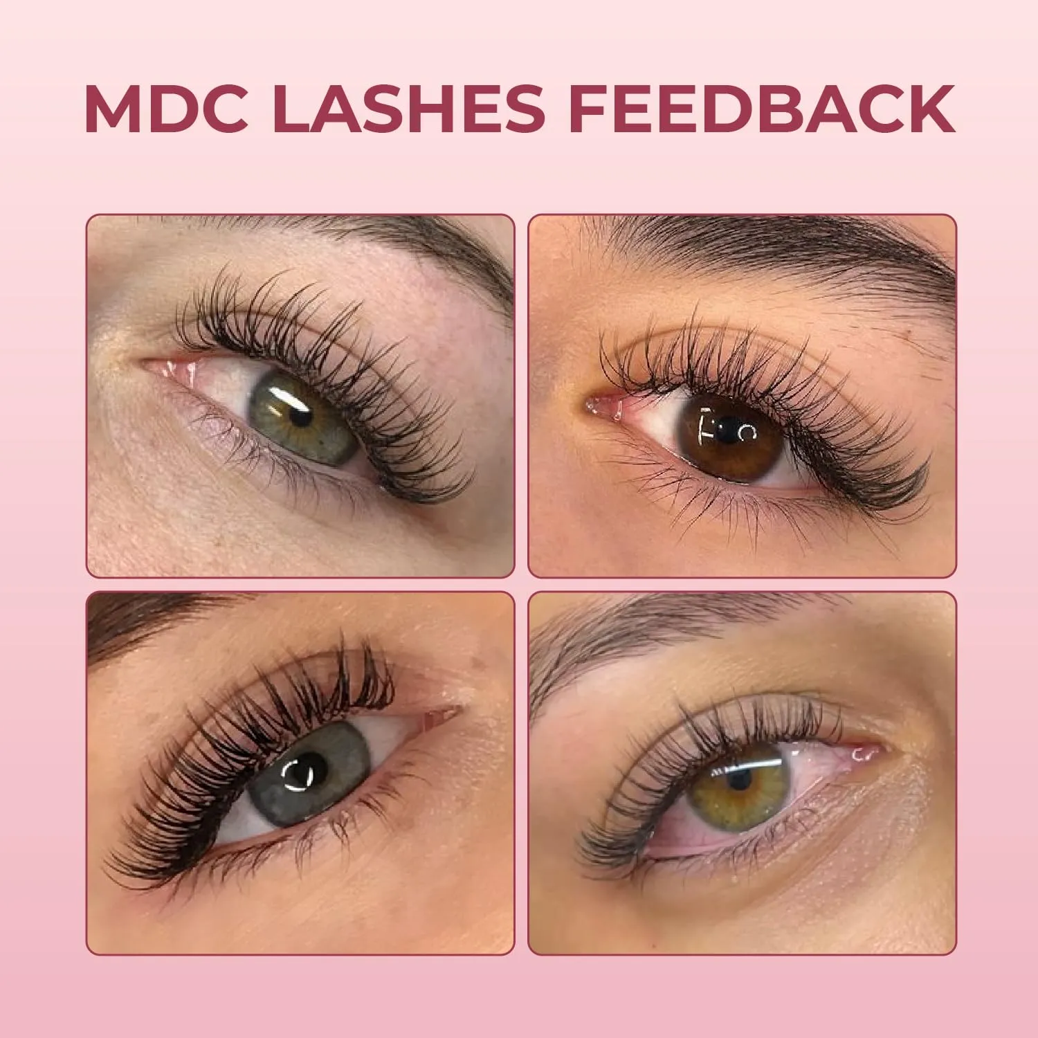 1000 Fans Premade Volume Eyelash Extensions – 5D-20D C/CC/D Curl 10–18mm Length 0.05/0.07mm Thickness Ultra Speed Promade Fans Black PBT Professional Lash Supplies Pestañas Pelo A Pelo