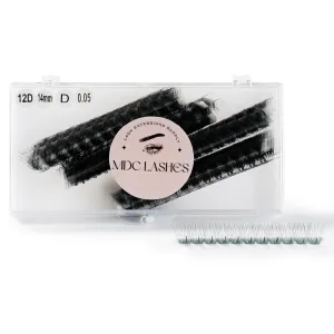 1000 Fans Premade Volume Eyelash Extensions – 5D-20D C/CC/D Curl 10–18mm Length 0.05/0.07mm Thickness Ultra Speed Promade Fans Black PBT Professional Lash Supplies Pestañas Pelo A Pelo