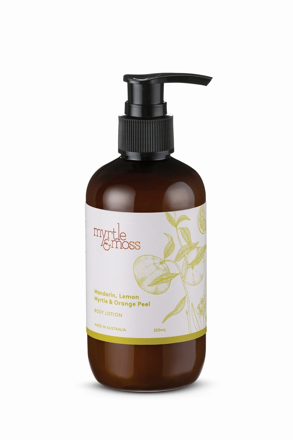 Body Lotion