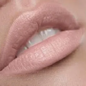 Light Pale Pink Matte lipstick and Liner Bundle | Everyday Play