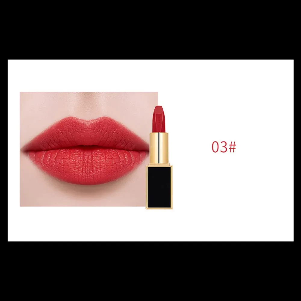 Matte LipStick Multiple Colos Long Lasting Waterproof Lip Makeup No Fade Pigmented Lip Stick Cosmeitc Gift for Girls and Women (03#B)