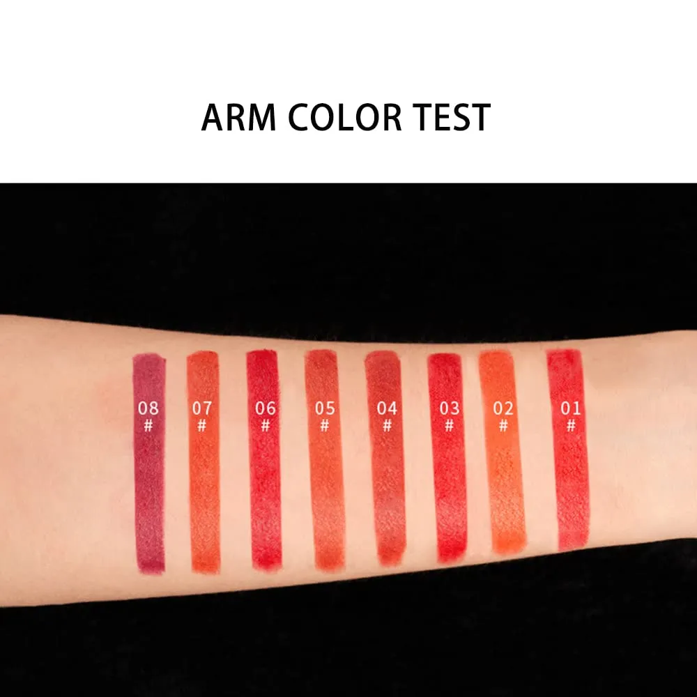 Matte LipStick Multiple Colos Long Lasting Waterproof Lip Makeup No Fade Pigmented Lip Stick Cosmeitc Gift for Girls and Women (03#B)