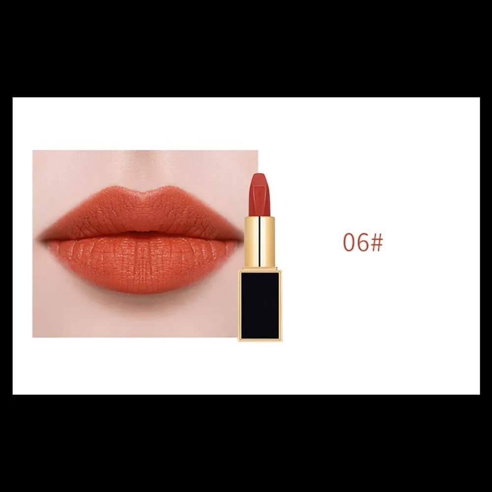 Matte LipStick Multiple Colos Long Lasting Waterproof Lip Makeup No Fade Pigmented Lip Stick Cosmeitc Gift for Girls and Women (06#B)