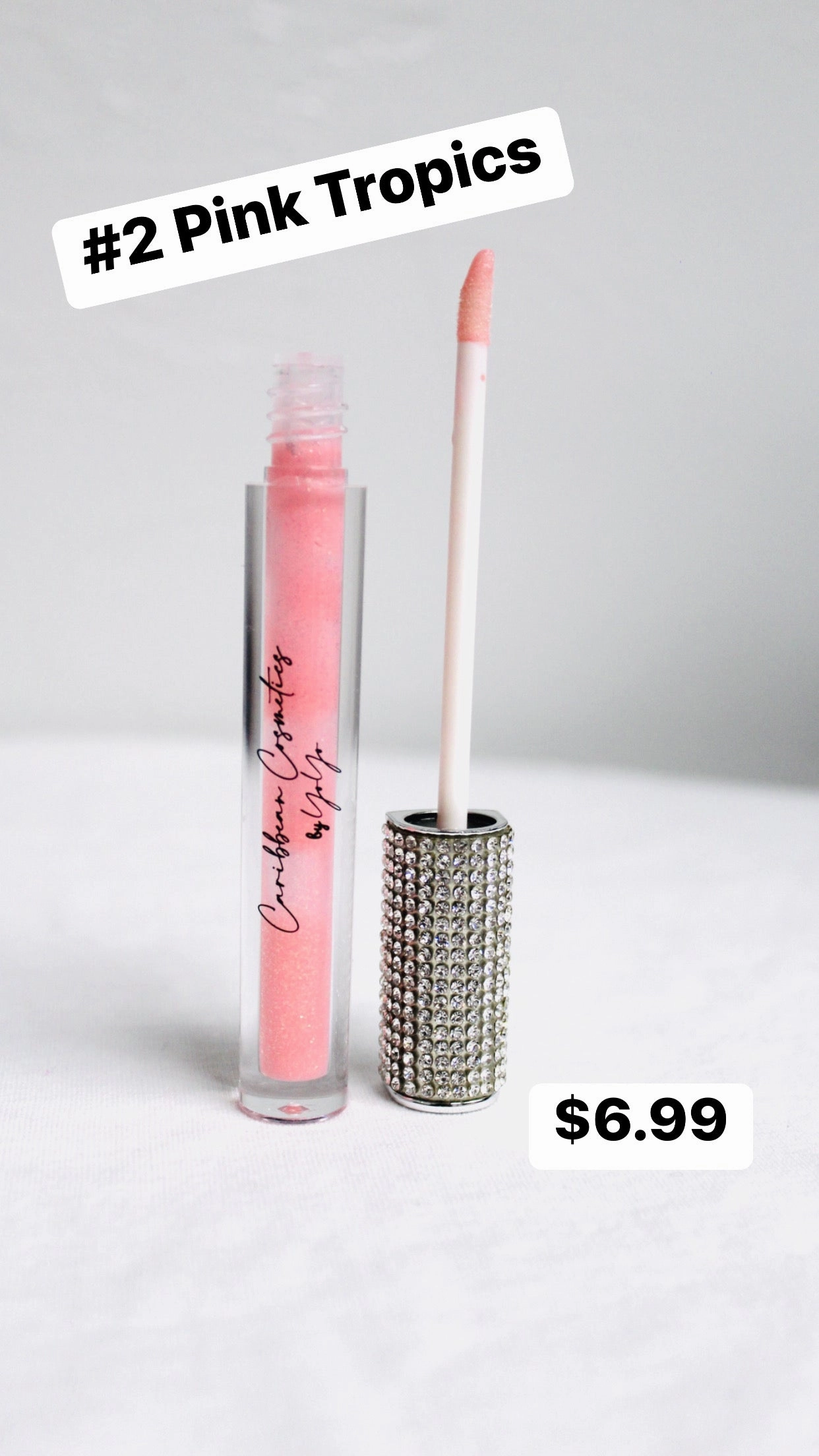 Pink Tropics Lipgloss