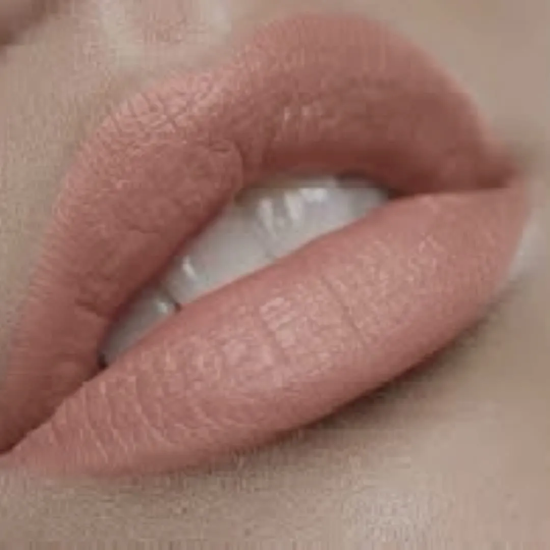 Premium Nude Matte Lip Kit |Long Lasting Nude Lipstick and Lip Liner Set | Unashamed