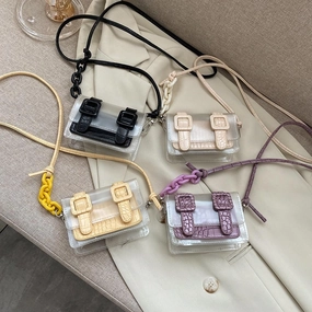 THE MINI CROSSBODY CLEAR